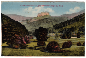 image-1
